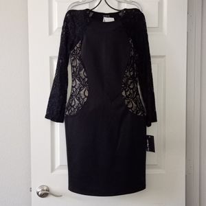 EnFocus Studio LBD Lace Cutout little black dress